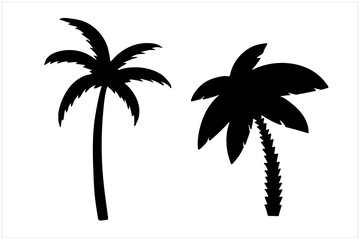 Obraz premium Palm trees set, isolated hand drawn black and white vector illustration on white background