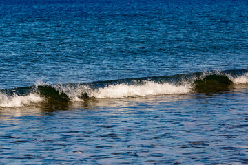Fototapeta premium Sea surf, waves on the coast of the Barents Sea in autumn in sunny weather. Kola Peninsula, Russia.