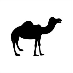 Camel graphic icon. Camel black sign isolated on white background. Camel symbol of desert.