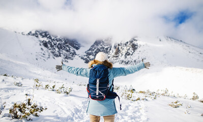 Rear view of young woman standing in snowy winter nature, arms stretched.