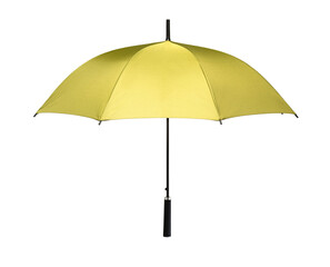 umbrella on white background