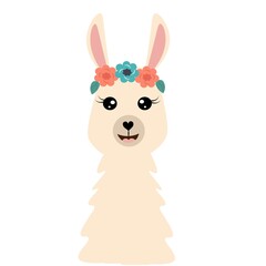 cute llama alpaca vector illustration
