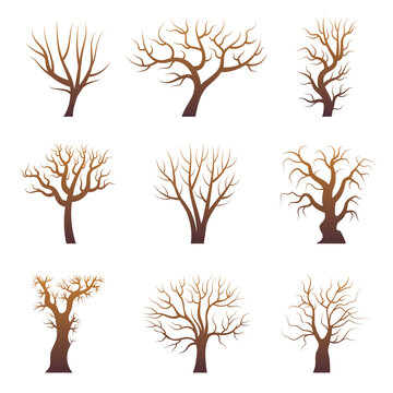 Tree branch silhouettes. Abstract forest trees without leaves natural plants vector set. Illustration forest branch tree, nature stylized wood trunk