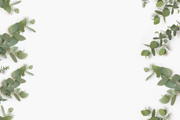 Fototapeta na wymiar Green leaves of eucalyptus branches on a white background.