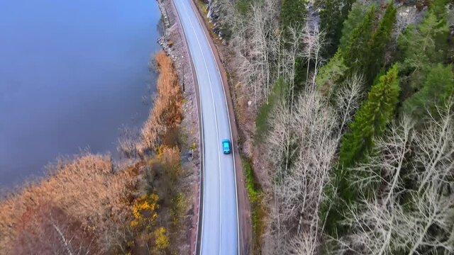 Aerial, tilt, drone shot, following a car, on a dark, asphalt road, between pine trees and leafless, birch forest, sun flares, on a sunny autumn day, in Juuka, North Karelia
