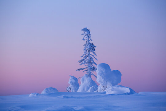 A heart-shaped pile of snow on a cold winter evening after sunsert at Riisitunturi National park, Northern Finland