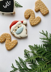 Santa in a mask and 2021 gingerbreads on white background with fir