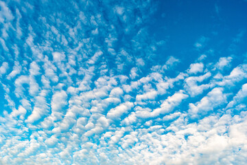 Landschaft Himmel mit Cumulus Schäfchenwolken