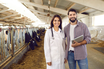 Happy livestock vet and farmer with tablet standing in barn on dairy farm with cows in background