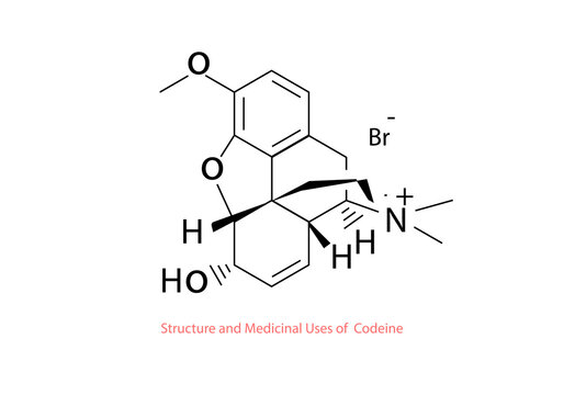 structure and medicinal uses of menadione vector design illustration