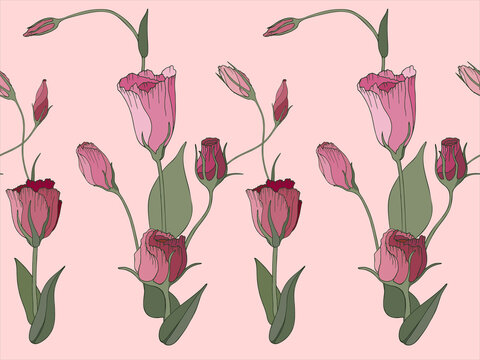 A seamless floral pattern of pink Lisiantus. Vector illustration of the flowering background.