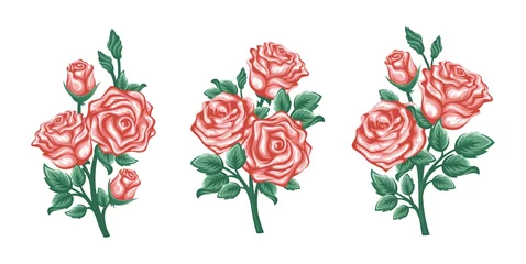 Behang Vector set of branches roses isolated on a white background. - Vector © Illusletra