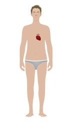 Heart  isolated on standing man. vector