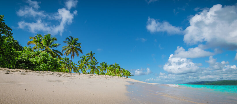 Panoramic beach view with palm trees on Caribbean Island.