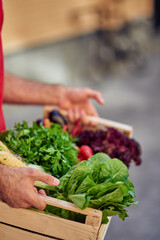 Cropped shot of a male courier grocery box with fresh vegetables, selective focus