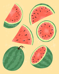 Fresh and ripe watermelon vector hand drawn illustration. Watermelon slices, summer food illustration.
