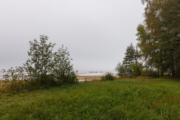 Foggy morning over the lake.