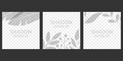 Shadow overlay set. Transparent background with leaves and plants. Vector illustration.