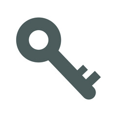 Key, keyword protection icon. Gray color vector
