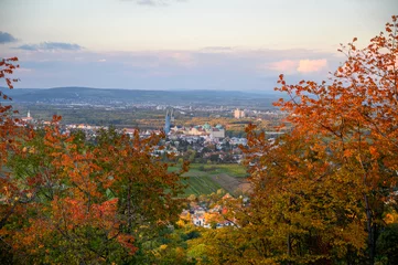 Foto op Canvas Stift Klosterneuburg from the hills in autumn © Anton