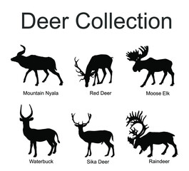 Deer collection vector silhouette illustration isolated on white background. Mountain nyala antelope. Moose elk. Reindeer buck. Red deer grassing. Waterbuck african deer. Sika symbol.