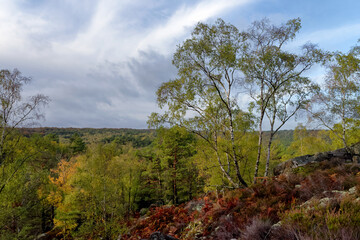 Fototapeta premium Apremont Gorges in Autumn season. French Gatinais regional nature park