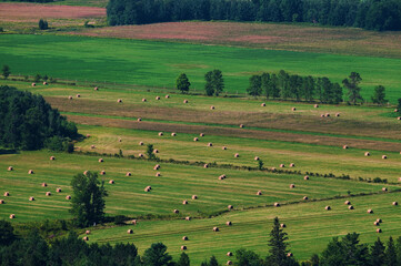 Harvested farm fields