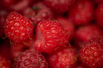 juicy forest raspberries close-up, ripe raspberries