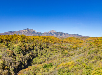 八ヶ岳と紅葉の風景　八ヶ岳中信高原国定公園（日本）