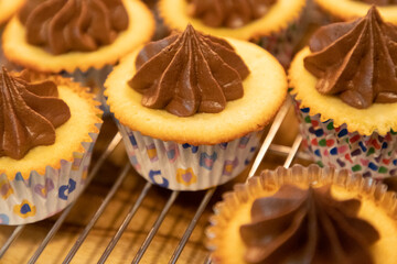Homemade Vanilla Cupcakes with Chocolate Frosting