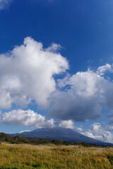 Fototapeta premium ススキが広がる高原から見る富士山