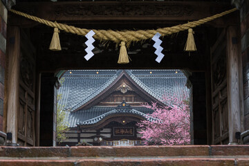 日本　石川県金沢市、雨の尾山神社の神門から見える拝殿と梅