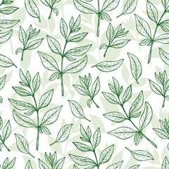 Floral background. Leaves Seamless pattern. Henna plant. Green tea. Vector leaf.