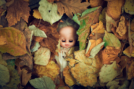 Spooky vintage doll toy in dry autumn leaves