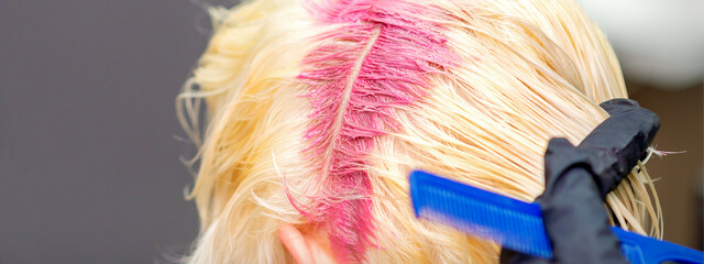 Hair coloring in pink color on hair roots of young blonde woman in hair salon. Selective focus