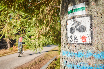 Marked bike and walking trail on a tree in Izera Mountains, selective focus.
