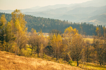 Fototapeta premium Autumn landscape on a background of mountains