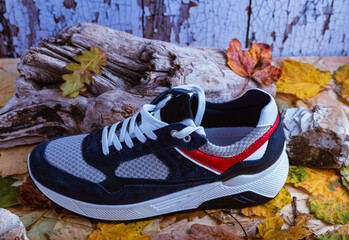 Colorful sneaker on a weathered leafy background