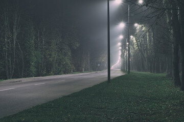 The thick fog above the asphalt road in the night outside the city