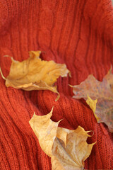 plaid knitted with braids and dry maple leaves
