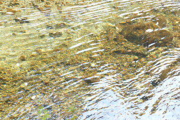 岐阜県　せせらぎ街道　清流