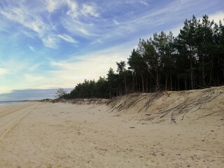 Beautiful sandy beach with trees in Wyspa Sobieszewska, Poland © Marianna Jaszczuk/Wirestock