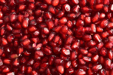 pomegranate seeds close up
