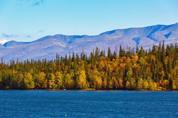 Mixed forest with colorful foliage on Imandra Lake near the Khibiny mountains. Autumn landscape, Kola Peninsula, Russia.