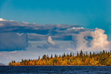 Mixed forest with colorful foliage on the Imandra lake. Autumn landscape, Kola Peninsula, Russia.