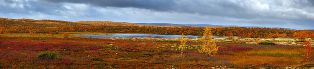 Panoramic view of storm clouds over lake in tundra in autumn. Kola Peninsula, Russia.