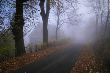Misty foggy road in the forest, autumn atmosphere with fallen leaves and house 