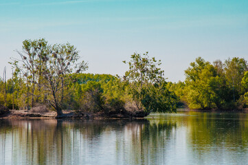 Obraz premium Die Koldinger Seen, die Südliche Leineaue