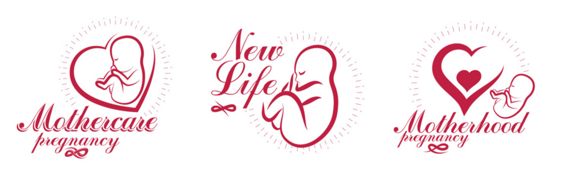 Pregnancy and motherhood theme vector illustrations set fetus drawings isolated on white background, new life baby shower beautiful baby.