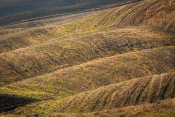 Obraz premium wavy fields in autumn colors, italy, tuscany
